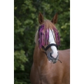 Norton-naczulek-z-frendlami-Fly-Browband