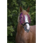 Norton-naczulek-z-frendlami-Fly-Browband