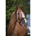 Norton-naczulek-z-frendlami-Fly-Browband