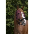 Norton-naczulek-z-frendlami-Fly-Browband