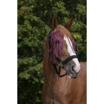Norton-naczulek-z-frendlami-Fly-Browband