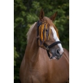 Norton-naczulek-z-frendlami-Fly-Browband