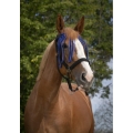 Norton-naczulek-z-frendlami-Fly-Browband