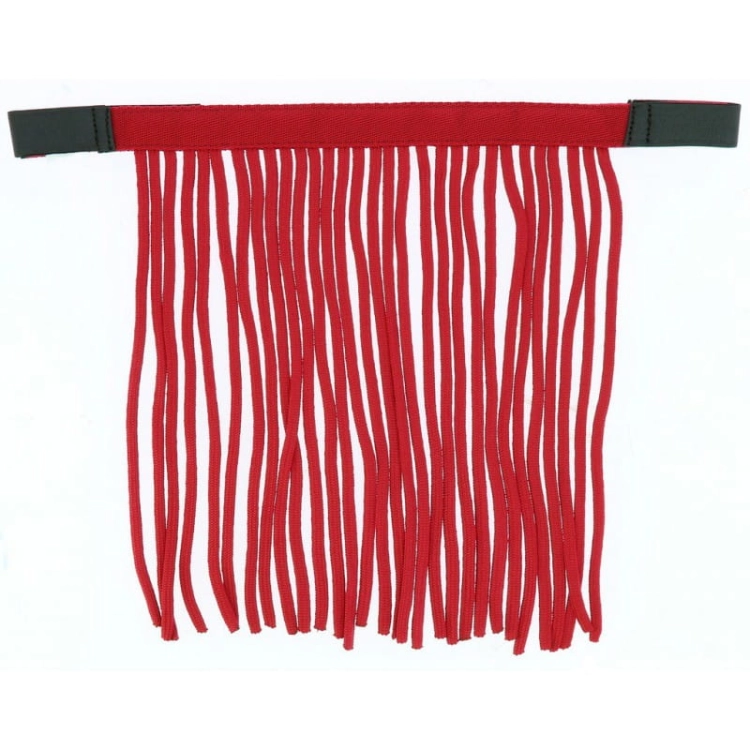 Norton-naczulek-z-frendlami-Fly-Browband