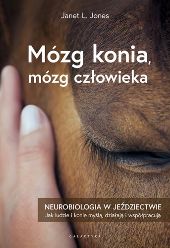 Mózg konia, mózg człowieka. Neurobiologia w jeździectwie.jpg