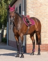 Zestaw ochraniaczy skokowych przednich i tylnych QHP Tendon boots
