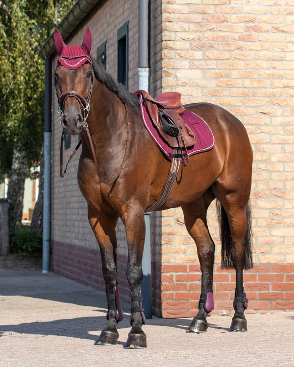 Zestaw ochraniaczy skokowych przednich i tylnych QHP Tendon boots