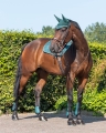 Zestaw ochraniaczy skokowych przednich i tylnych QHP Tendon boots