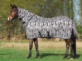 Derka siatkowa BUSSE Comfort Pro Zebra