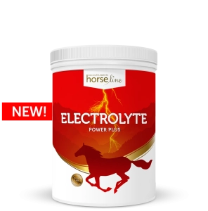 Elektrolity HorseLinePRO "Electrolyte Power Plus" 3kg  24h