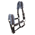 Kantar HorsEnjoy Horse Star