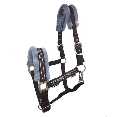 Kantar HorsEnjoy Horse Star
