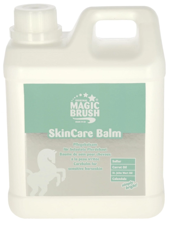 3223376.jpg