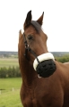 kaganiec-covalliero-teddy-fleece