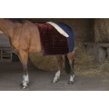 Derka-stajenna-Equi-Theme-Teddy