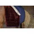 Derka-stajenna-Equi-Theme-Teddy