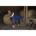 Derka-stajenna-Equi-Theme-Teddy