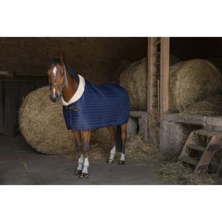 Derka-stajenna-Equi-Theme-Teddy