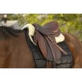 equitheme-teddy-back-pad (16).jpg