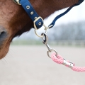 uwiaz-horse-lead