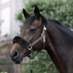 Kantar z futerkiem B VERTIGO "Laurier"