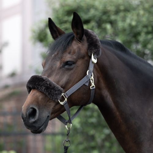 kantar-z-futerkiem-b-vertigo-laurier