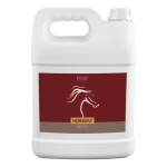 srodek-na-owady-over-horse-horsefly-spray