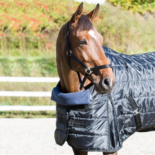 poduszka-na-lopatki-horze-shoulder-pillow