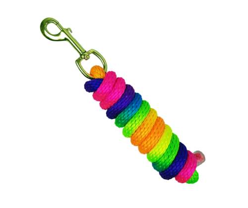 HorsEnjoy-uwiaz-Rainbow-Tropical-Heat