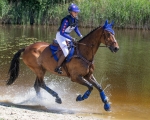 Ochraniacze krosowe przednie QHP Q-Cross Eventing Technical
