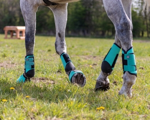 Ochraniacze krosowe tylne QHP Q-Cross "Eventing Technical"