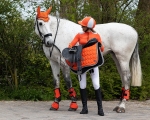 Ochraniacze krosowe tylne QHP Q-Cross Eventing Technical