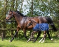 Derka-padokowa-zrebieca-QHP-Foal-Turnout