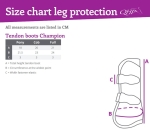size.JPG