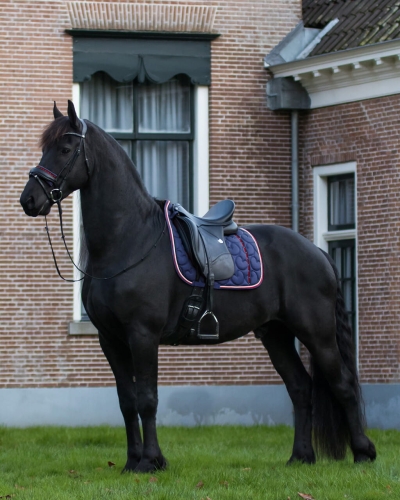 Podkładka pod podbródek QHP Friesian