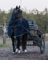 Derka siatkowa z kapturem do powożenia QHP Fly driving rug