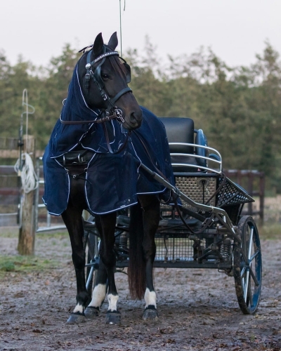 Derka siatkowa z kapturem do powożenia QHP Fly driving rug