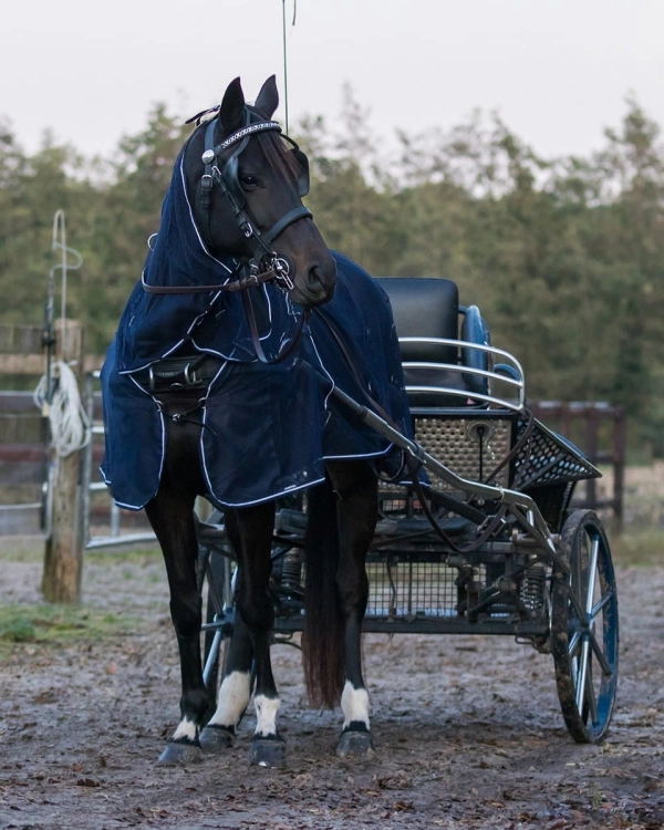 Derka siatkowa z kapturem do powożenia QHP Fly driving rug