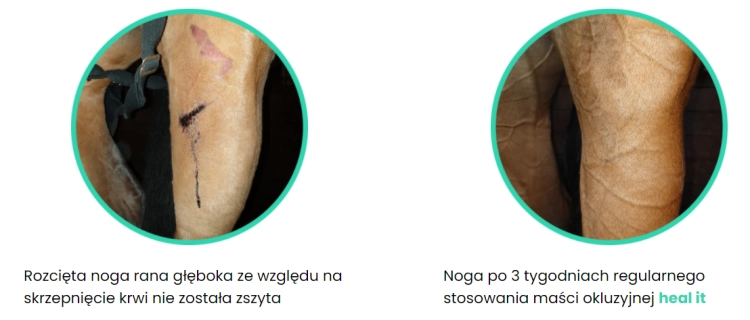 healit4.PNG
