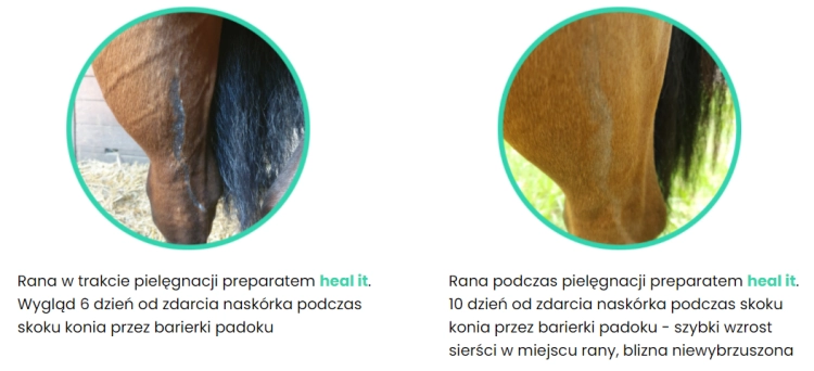 healit5.PNG