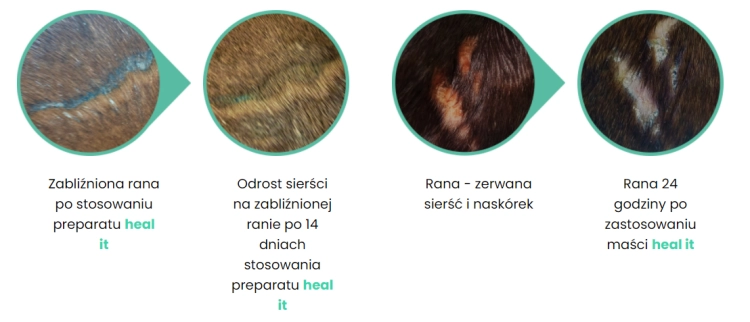 heatit6.PNG
