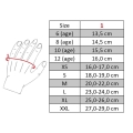 9150_6.jpg