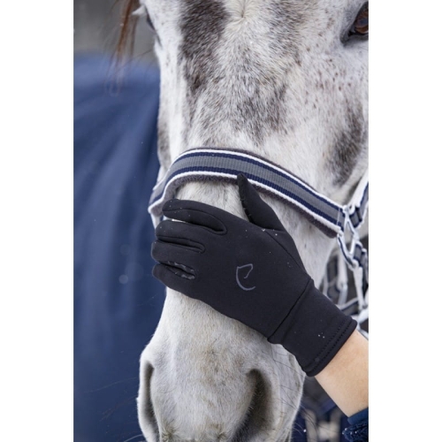 Rękawiczki zimowe Equi Theme Hiver