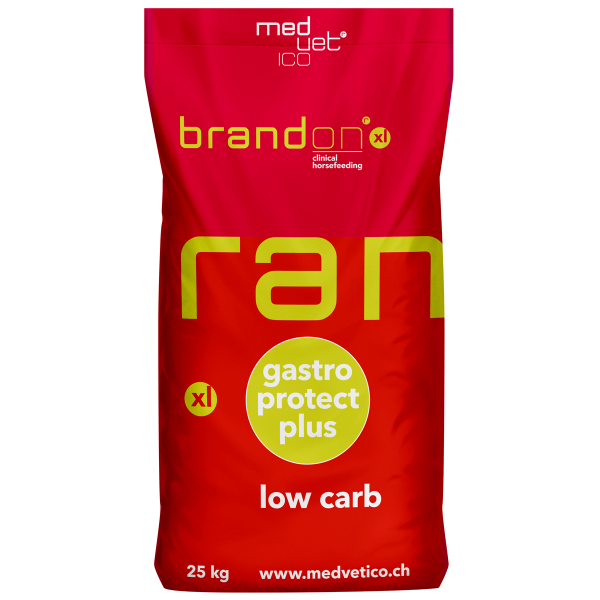 Brandon XL Low Carb.png