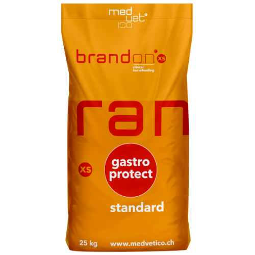 granulat Brandon XS Standard