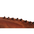 Hippo-Tonic gumki do grzywy Branding Bands