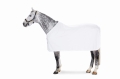 Derka polarowa Eskadron Basic Fleece