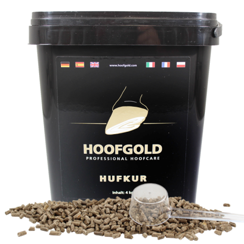 hoofgold-hufkur.jpg