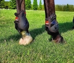 Ochraniacze tylne eQuick eWonder Short
