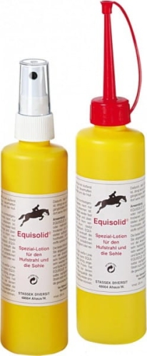 equsolid.jpg